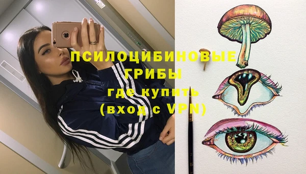 ПСИЛОЦИБИНОВЫЕ ГРИБЫ Бронницы