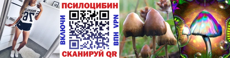 Галлюциногенные грибы Psilocybine cubensis  Купить где  Похвистнево 